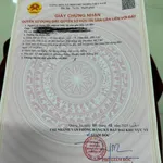 Bán nhà mặt tiền Tôn Thất Tùng 100m² kinh doanh - Ảnh thu nhỏ 2