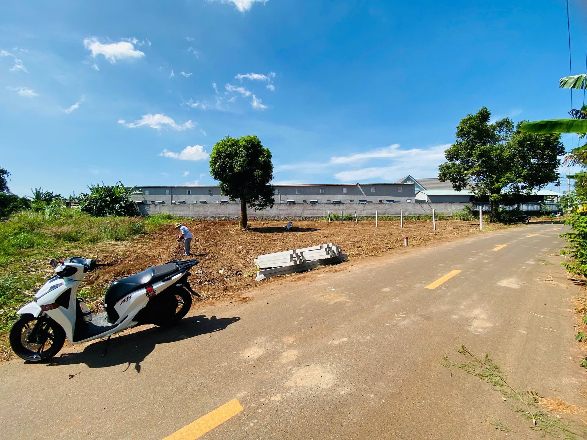 Bán 2 lô đất liền kề Đất Đỏ, 278m² và 352m², sổ sẵn