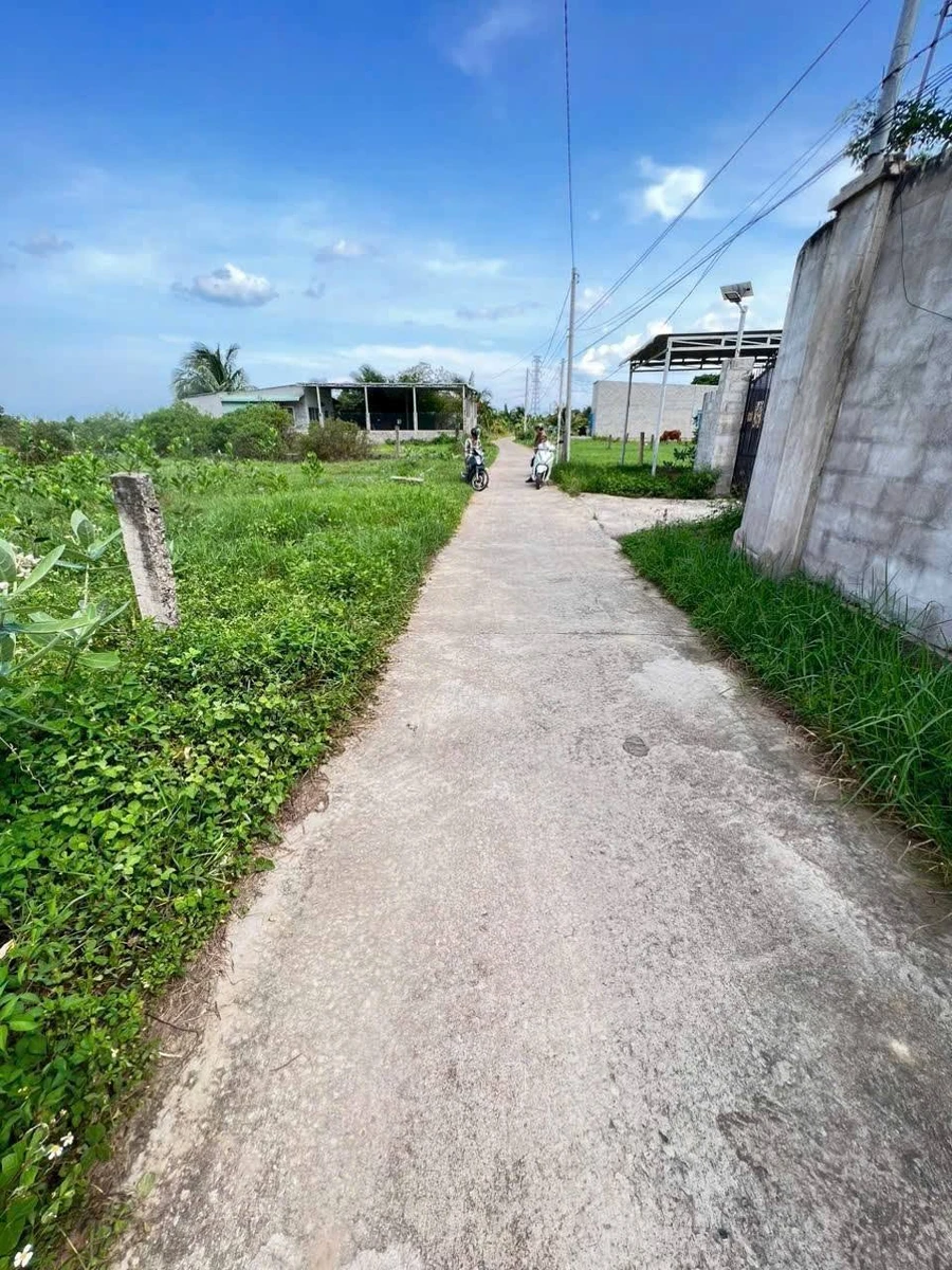 Bán đất Hàm Liêm Bình Thuận 100m² giá 200 triệu - Ảnh thu nhỏ 4