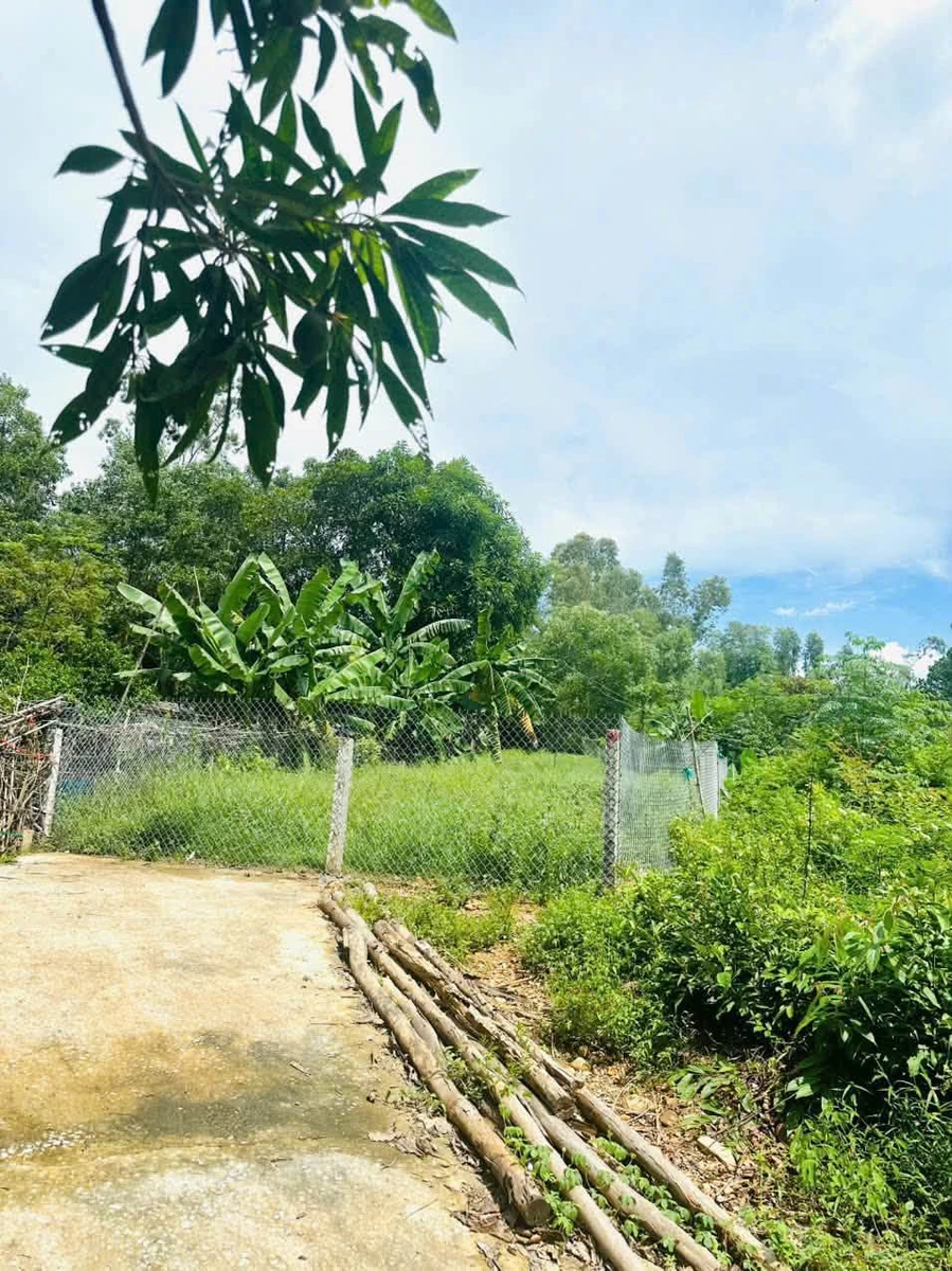 Bán đất 759m2 tại Châu Sơn 2, Đà Nẵng, giá 1 tỷ 4 - Ảnh 1