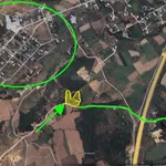 Văn Thủy 2 Cam An Khánh Hòa | hơn 5.000m2 | chỉ 150 triệu/sào - Ảnh thu nhỏ 2