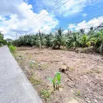Bán đất mặt tiền Mỹ Thạnh, Nhà Bè, 1336m2 - Ảnh thu nhỏ 2
