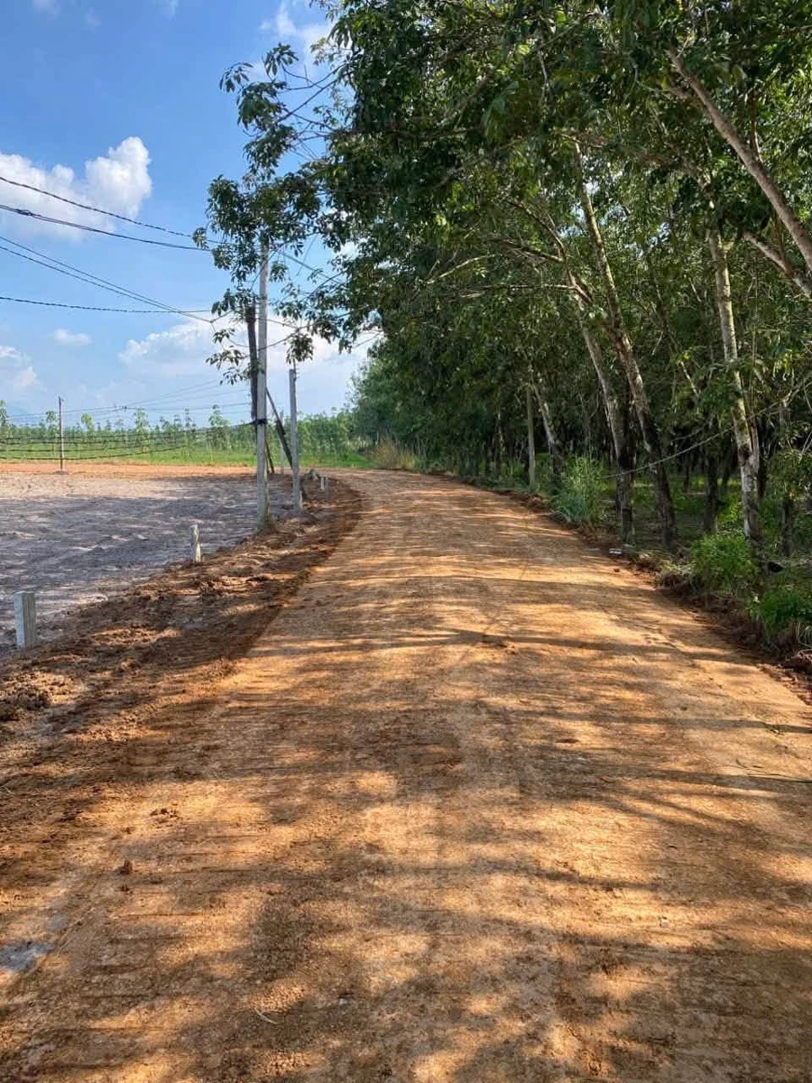 Bán đất mặt tiền Tân Phong Tây Ninh 200m2, giá 129 triệu - Ảnh thu nhỏ 2