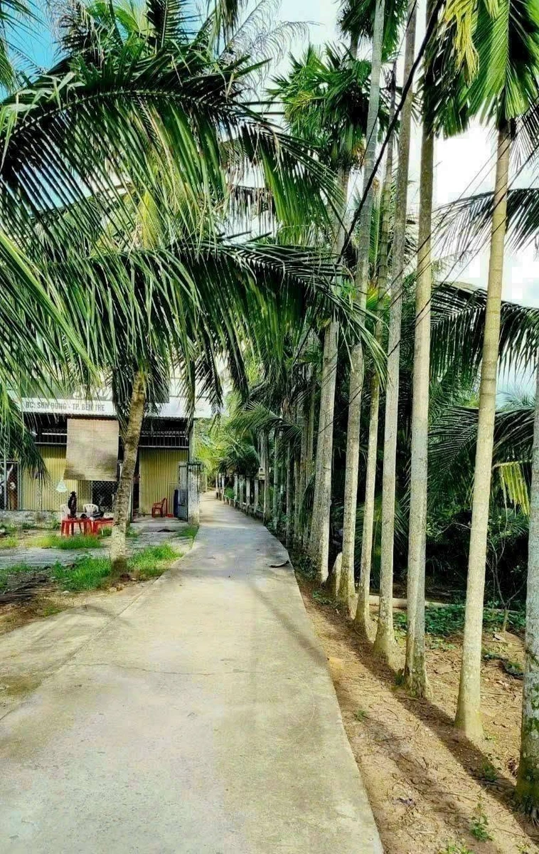 Bán đất nền 126,8m² Châu Thành 540 triệu - Ảnh thu nhỏ 2