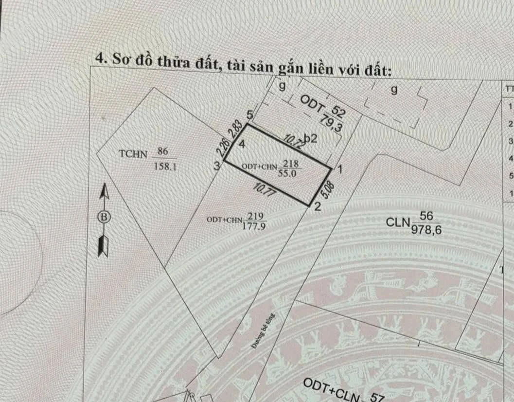 Bán đất phố Ngô Gia Tự, Hạ Long, 275m², giá hơn 1 tỷ - Ảnh thu nhỏ 3