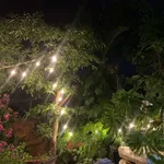 Bán khu nghỉ dưỡng 2.724m2 view sông cách Cái Chanh 1km, giá 2 tỷ 950 - Ảnh thu nhỏ 1