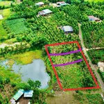 Tặng vườn cau sở hữu ngay lô đất full thổ cư giá 239tr Ea Ning Cư Kuin - 0971 801 *** - Ảnh thu nhỏ 4