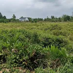 Bán 1337m2 đất vườn có 269m2 thổ cư tại Tân Thành, Thủ Thừa, sát chợ Thủ Thừa - Ảnh thu nhỏ 2