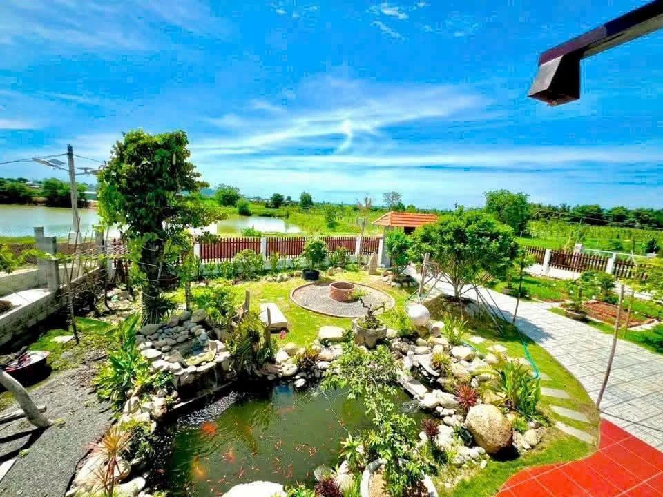 Bán nhà vườn 735m² giá 1,9 tỷ An Phú Hàm Liêm - Ảnh thu nhỏ 3