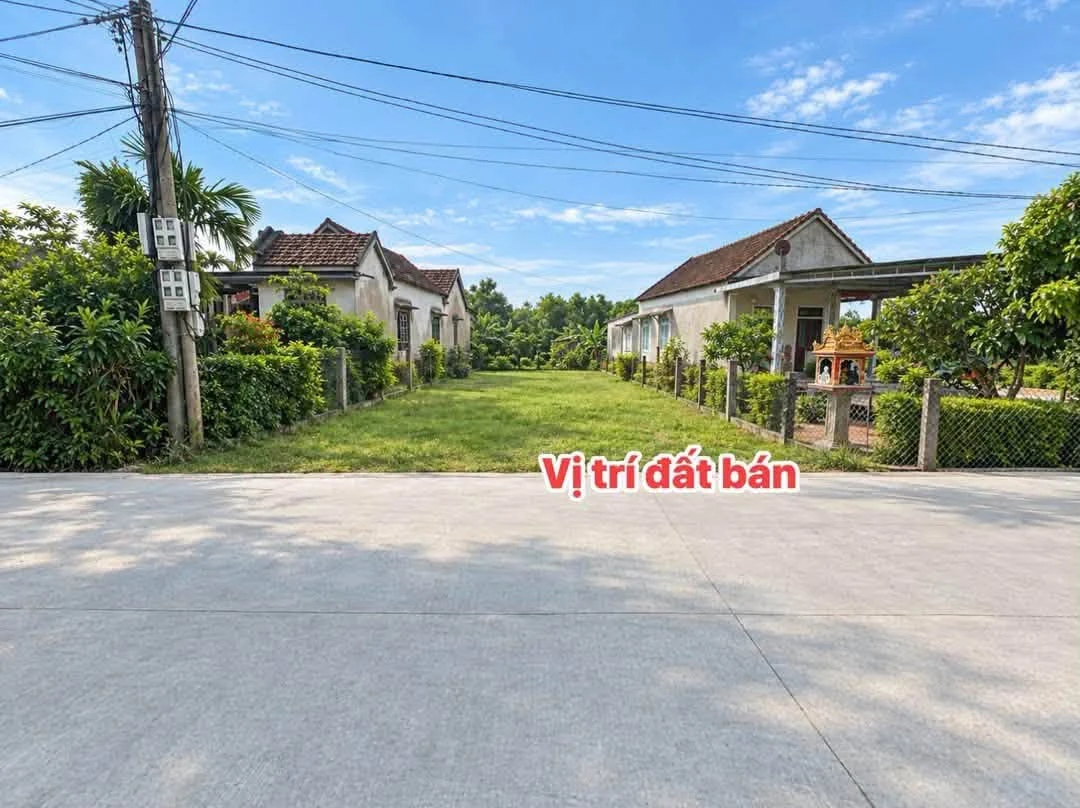 Bán đất mặt tiền Tôn Thất Sơn Nhà Bè 80m² 730 triệu - Ảnh thu nhỏ 2