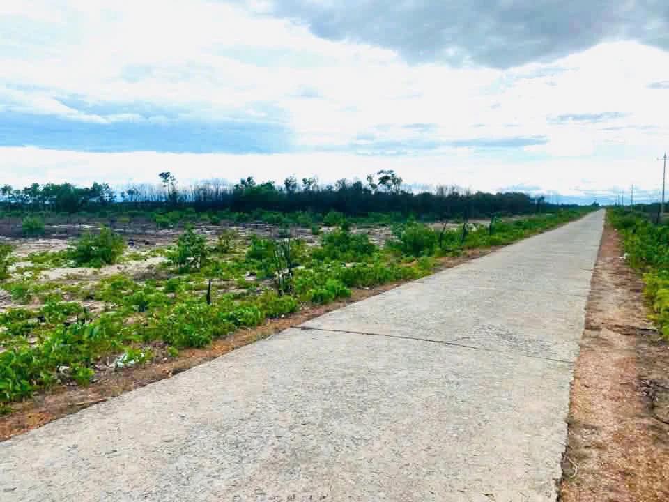 Đất biển Phong Phú, Huế 5.000m², 220 triệu/lô - Ảnh 1