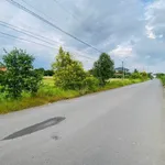 Bán đất thổ cư mặt tiền nhựa 25x40 gần Vinhomes Hậu Nghĩa, Sò Đo - Ảnh thu nhỏ 4
