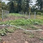 Bán đất 175m2 Phường 1, Tây Ninh - 850 triệu - Ảnh thu nhỏ 1
