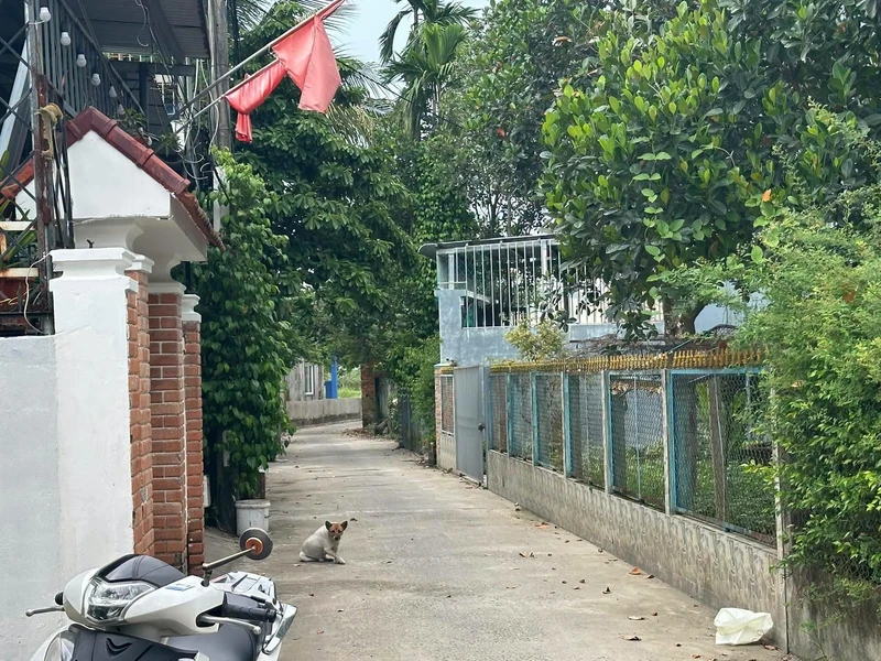 Bán đất 85m² Hòa Thọ Tây, Cẩm Lệ, Đà Nẵng, giá 1 tỷ 650 triệu