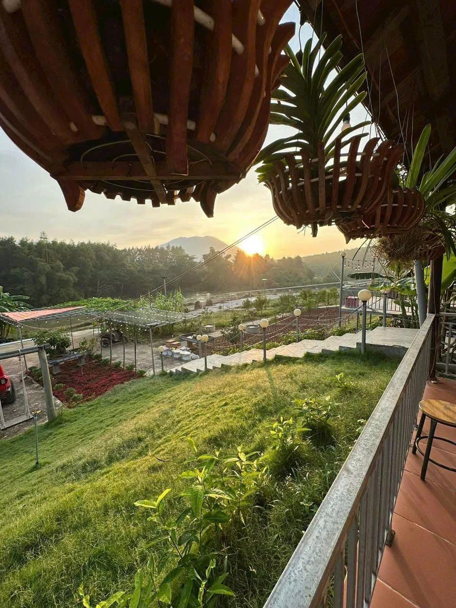 Bán farm 14.500m² Khánh Hòa giá 12 tỷ đã hạ - Ảnh thu nhỏ 2