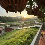 Bán farm 14.500m² Khánh Hòa giá 12 tỷ đã hạ - Ảnh thu nhỏ 2