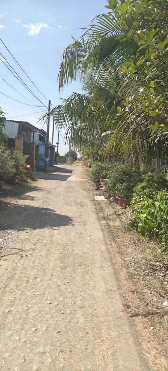 Bán 2 lô đất 5x40m tại Đức Hòa, Long An - Ảnh thu nhỏ 2