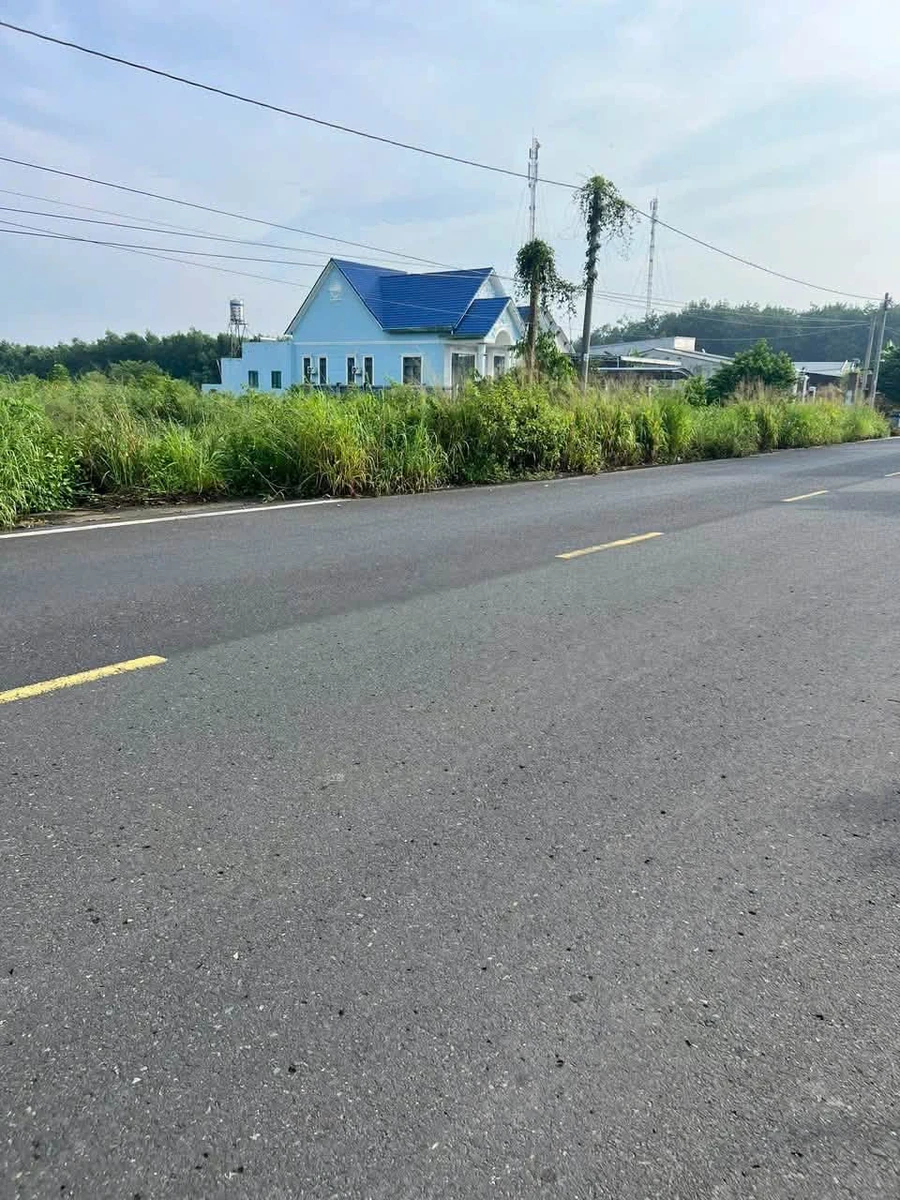 Bán đất mặt tiền đường số 8 Minh Hưng 5000m² 1 tỷ - Ảnh thu nhỏ 2