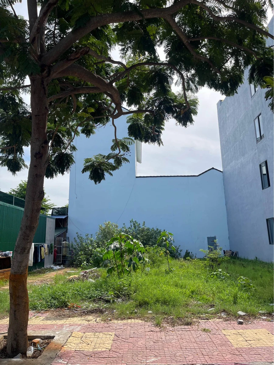 Bán lô đất 100m2 Nguyễn Tri Phương, Quận 12 - 3 tỷ 200 triệu - Ảnh thu nhỏ 4