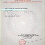 Bán nhà + 6 phòng trọ 266m² Đức Hòa 2,6 tỷ - Ảnh thu nhỏ 3