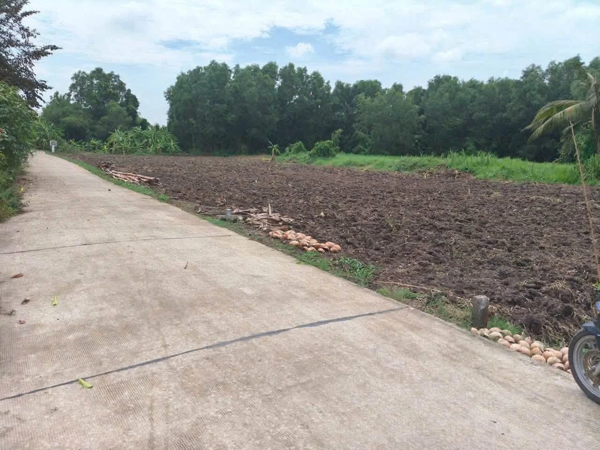 Bán đất thổ cư Bình Lãng, Tân Trụ - 5x28,5m và 6x30m - Ảnh thu nhỏ 2