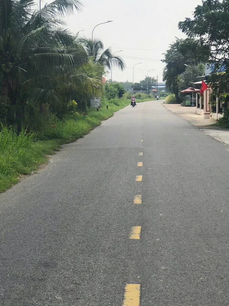 Bán lô đất mặt tiền 2000m² Lâm Đồng giá 3 tỷ - Ảnh 1