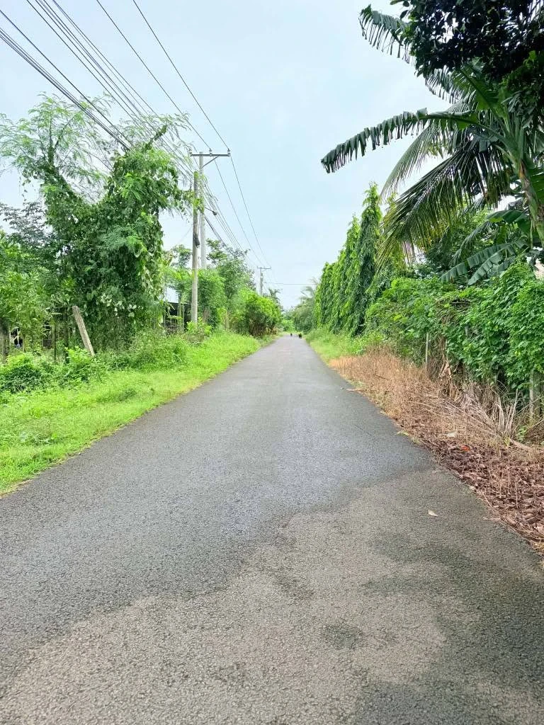 Bán đất mặt tiền 2.200m² Xuân Lộc, Đồng Nai 1,5 tỷ - Ảnh thu nhỏ 3