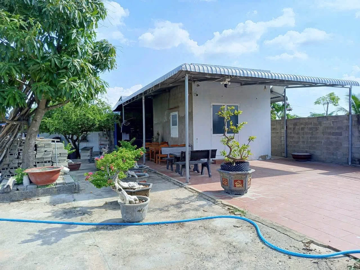 Bán nhà vườn 977m2 sổ riêng tại Hàm Liêm, Bình Thuận - Ảnh 1