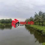 Bán đất vuông 36 công Phú Tân Cà Mau - Ảnh thu nhỏ 3