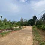 Bán lô đất 5x25m Quận 12 giảm giá còn 290 triệu - Ảnh thu nhỏ 3