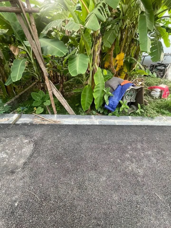 Bán đất 72m2 đường ô tô vào, Lương Quy, Thư Lâm, Đông Anh, Hà Nội - Ảnh thu nhỏ 2