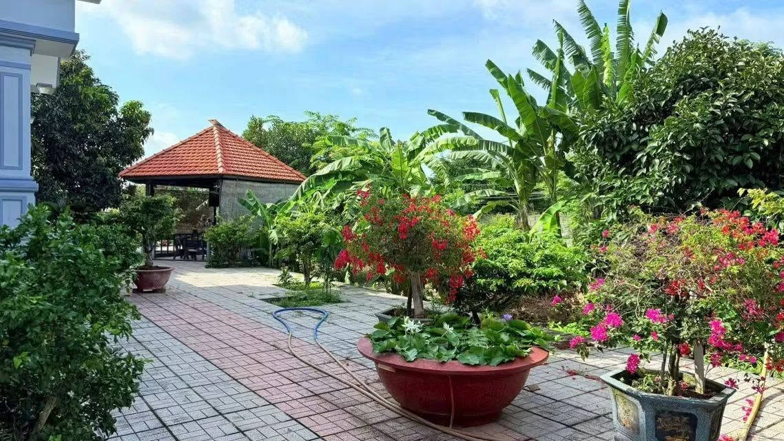 Bán nhà vườn mái Thái 3.869m² Phước Hữu Long Phước Bà Rịa 12.5 tỷ - Ảnh thu nhỏ 4
