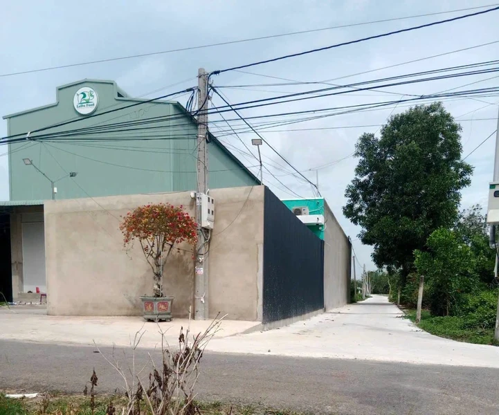 Bán đất thổ cư 300m² mặt tiền đường Petong, Tây Ninh