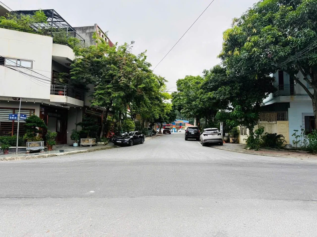 Bán lô đất Đô Đốc Lộc 100m2, Bình Chánh - Ảnh thu nhỏ 2