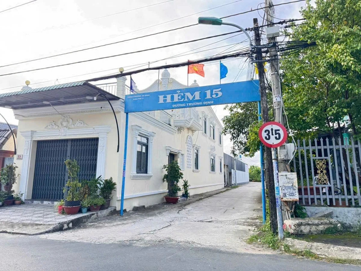 Bán đất nền 125m² Trương Định An Bình 1 tỷ 350 triệu - Ảnh thu nhỏ 2