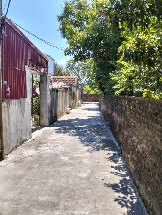 Đất Phú Châu lâu lâu mới có. Diện tích: 187m2 - Ảnh thu nhỏ 2