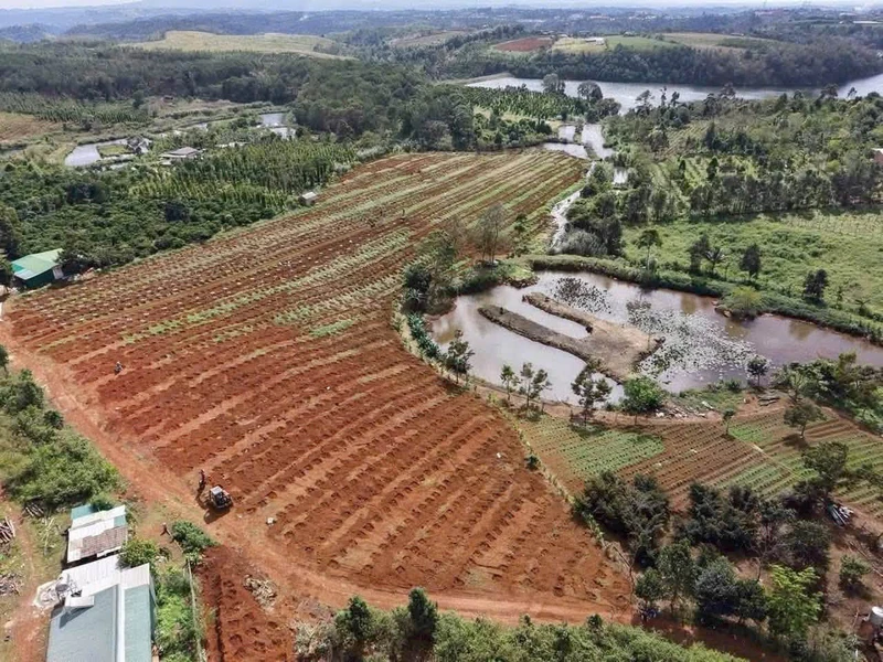 Bán đất 2 hectare tại Đắk Nông, giá 4.4 tỷ