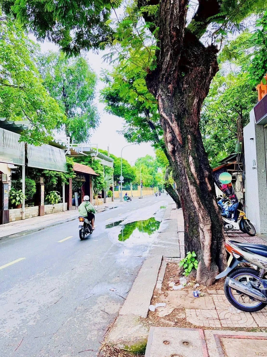Cho thuê nhà mặt tiền 310m² Quận 3, 170 triệu/tháng - Ảnh thu nhỏ 4