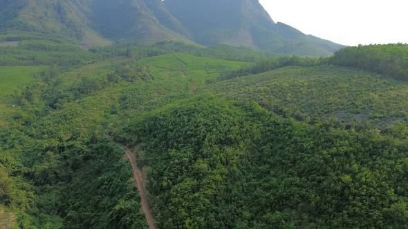 Bán 7,5 ha đất rừng sản xuất view sông, bám suối tại Đại Lộc, cách Đà Nẵng 50km - Ảnh thu nhỏ 3