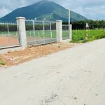 Bán nền đất 145m² full thổ cư xã Phan-Dương Minh Châu Tây Ninh - Ảnh thu nhỏ 2