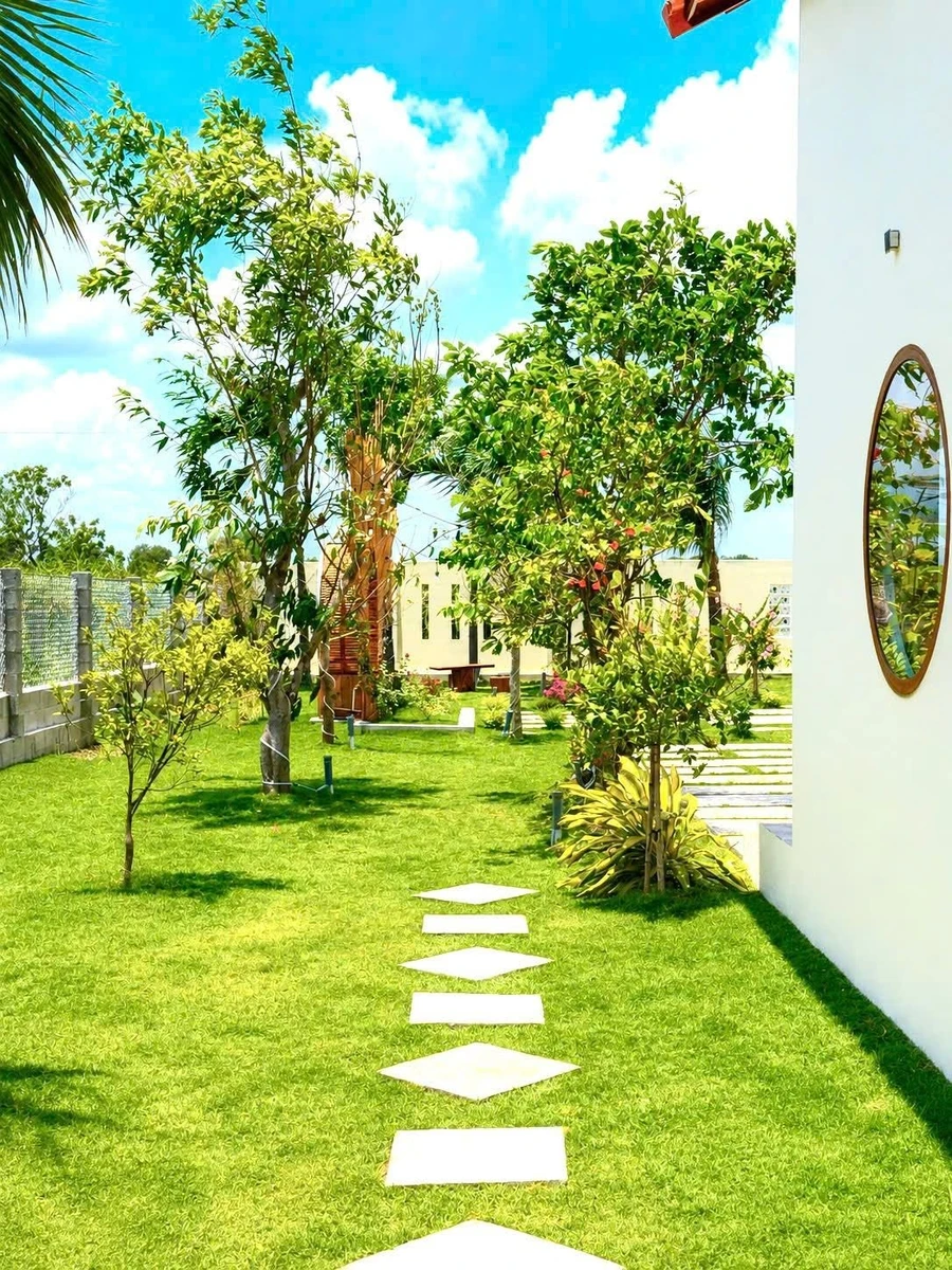 Bán nhà vườn 1.600m² Hàm Chính, Bình Thuận, gần Phan Thiết - Ảnh thu nhỏ 3