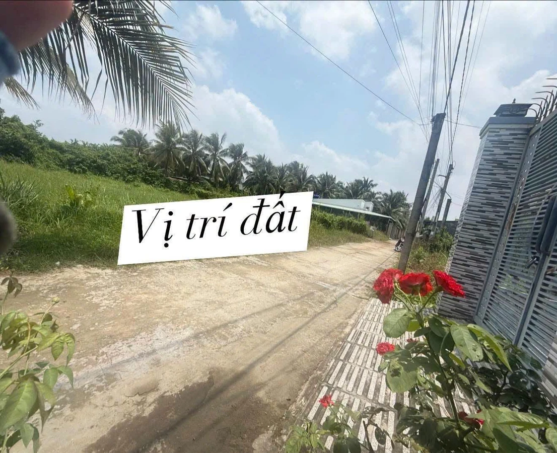 Bán đất Phường Bến Tre 750m2 1 tỷ 950 - Ảnh thu nhỏ 3