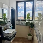 Bán villa mặt tiền đường nhựa Đà Lạt 267m2 - 9 tỷ 8 - Ảnh thu nhỏ 3