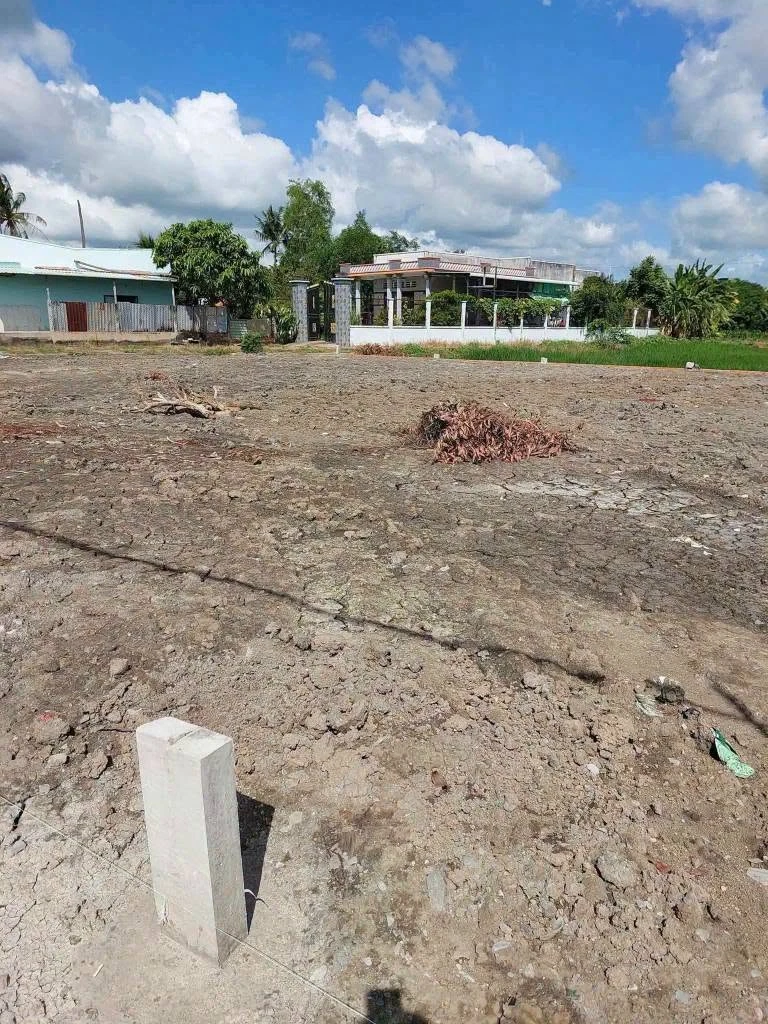 Bán lô đất tổ 5×25m (125m²) Mỹ Lệ, Cần Đước, Long An 600 triệu - Ảnh thu nhỏ 4