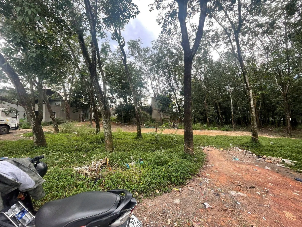 Bán đất 560m² chợ Phú Chánh A, Bình Dương, 5,6 tỷ - Ảnh thu nhỏ 2