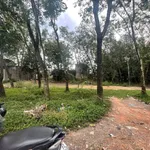 Bán đất 560m² chợ Phú Chánh A, Bình Dương, 5,6 tỷ - Ảnh thu nhỏ 2