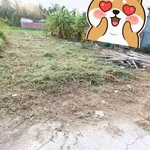 Bán nền 125m² Phú Tân 650 triệu - Ảnh thu nhỏ 3