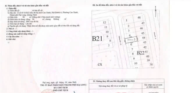 Bán đất Cao Xanh Hạ Long 90m2, mặt tiền 6m - Ảnh thu nhỏ 3
