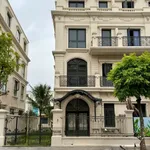 Bán song lập 180m2 Đảo Vua Vinhomes Vũ Yên Hải Phòng - Ảnh thu nhỏ 2