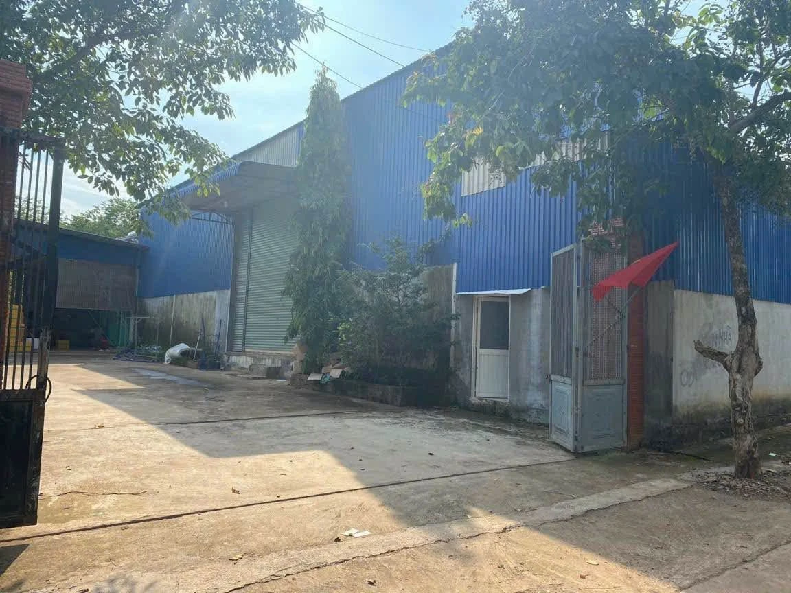 Cho thuê kho 800m² Tân Thiện Bình Phước 15tr/tháng - Ảnh thu nhỏ 3